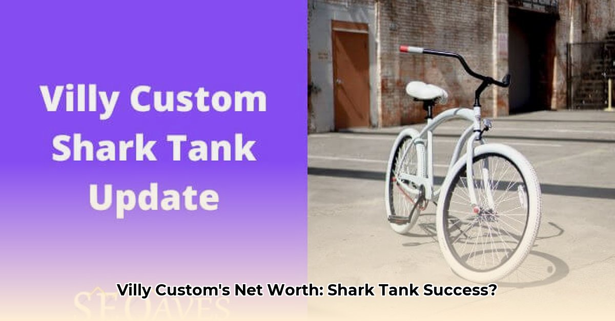 villy-custom-net-worth